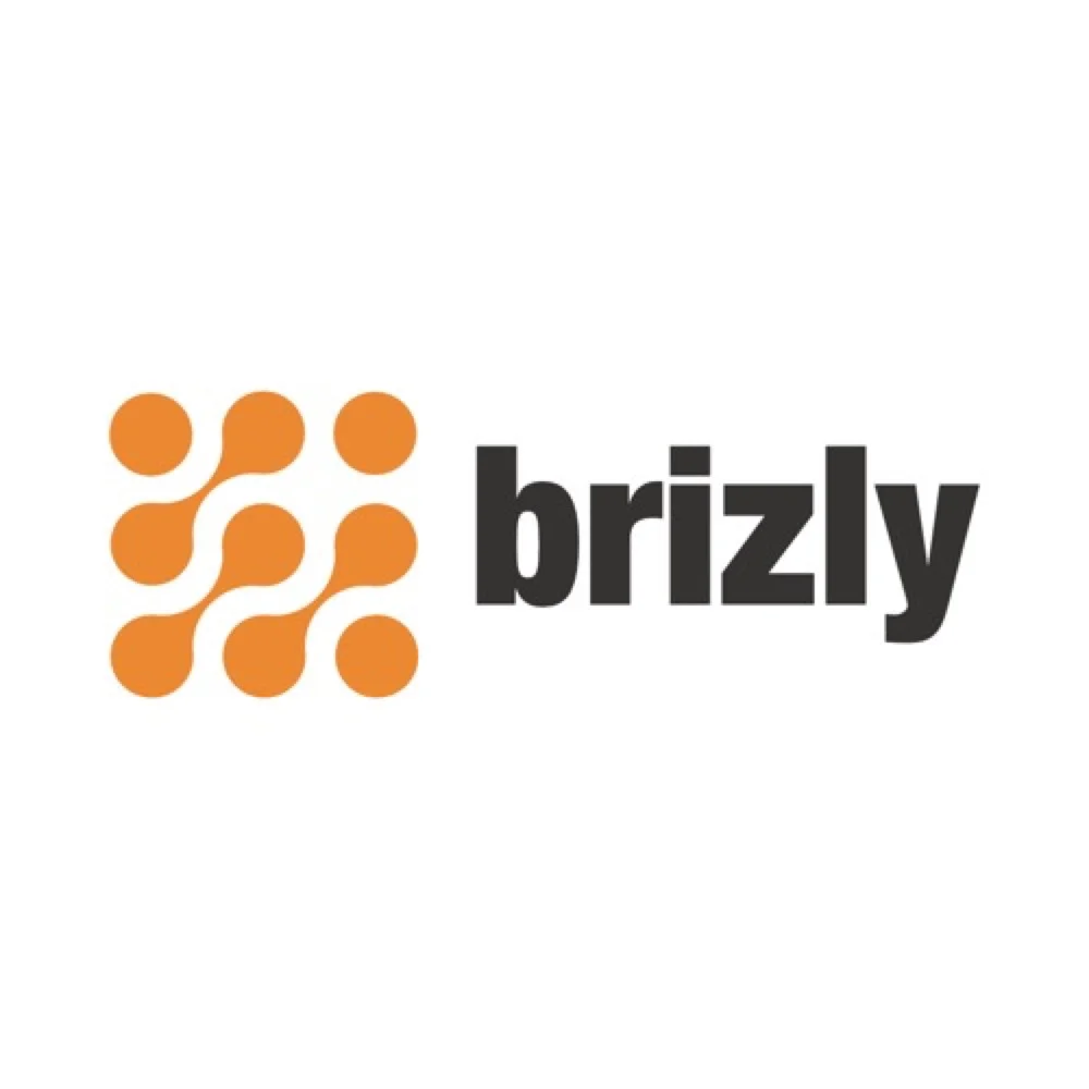 Brizzly