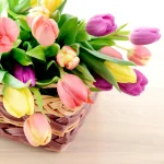 I Love Travelling - 3 Columns